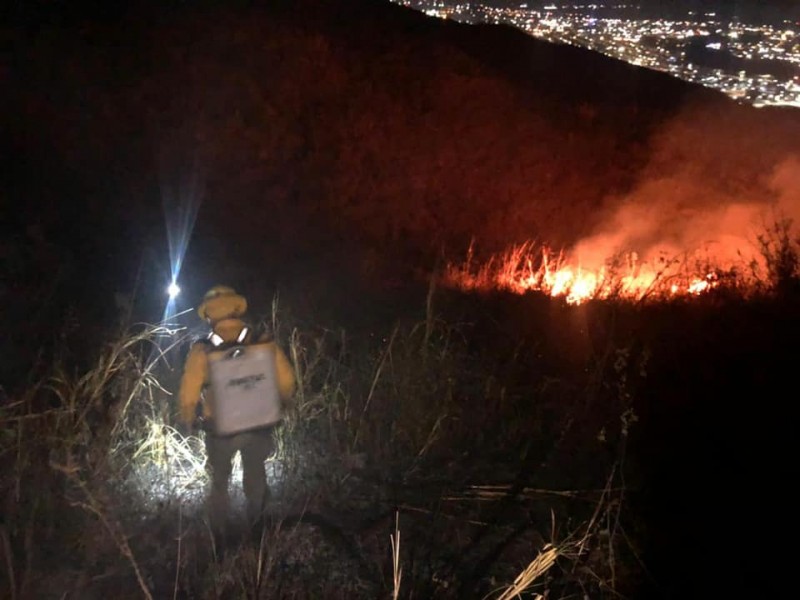 Brigada Forestal extinguió incendio en ejido La Cantera