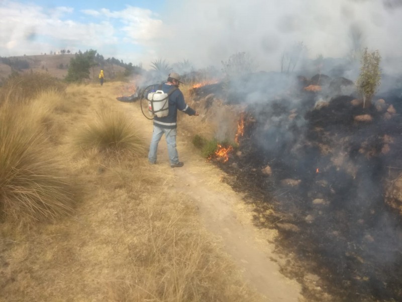 Brigada Forestal intensifica tareas de prevención de incendios