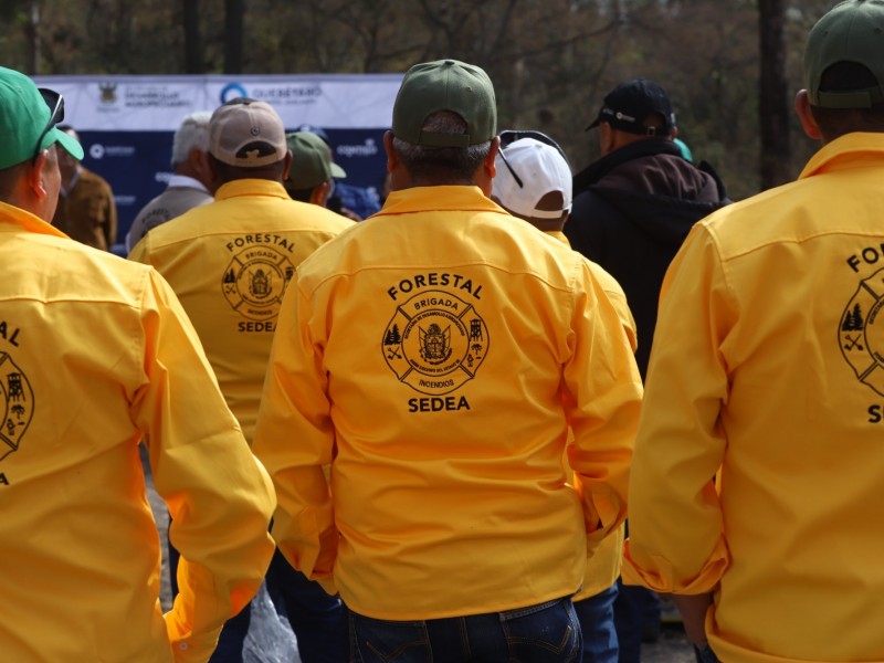 Brigadas de combate a incendios forestales