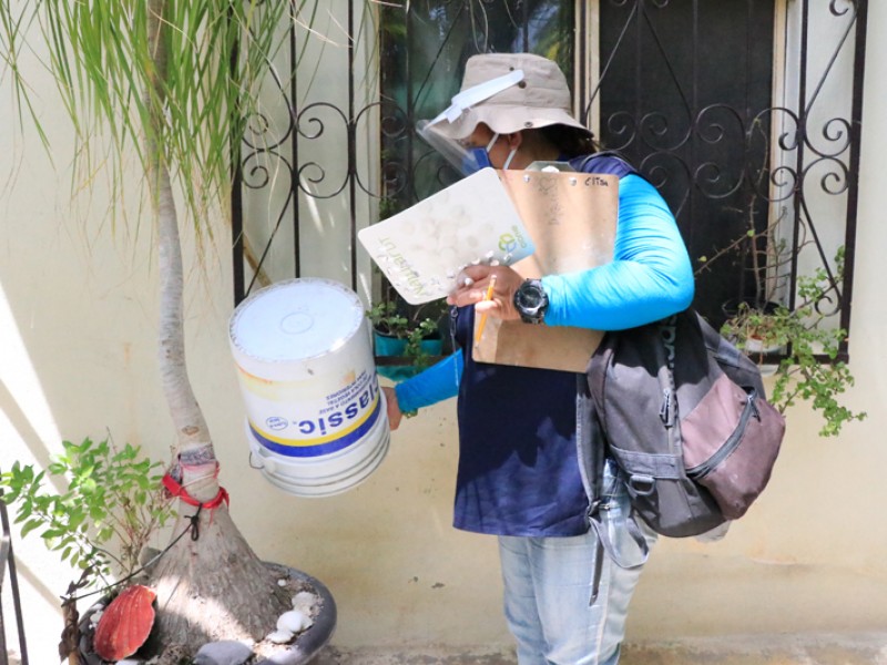 Brigadas de control larvario refuerzan visitas domiciliarias para combatir dengue
