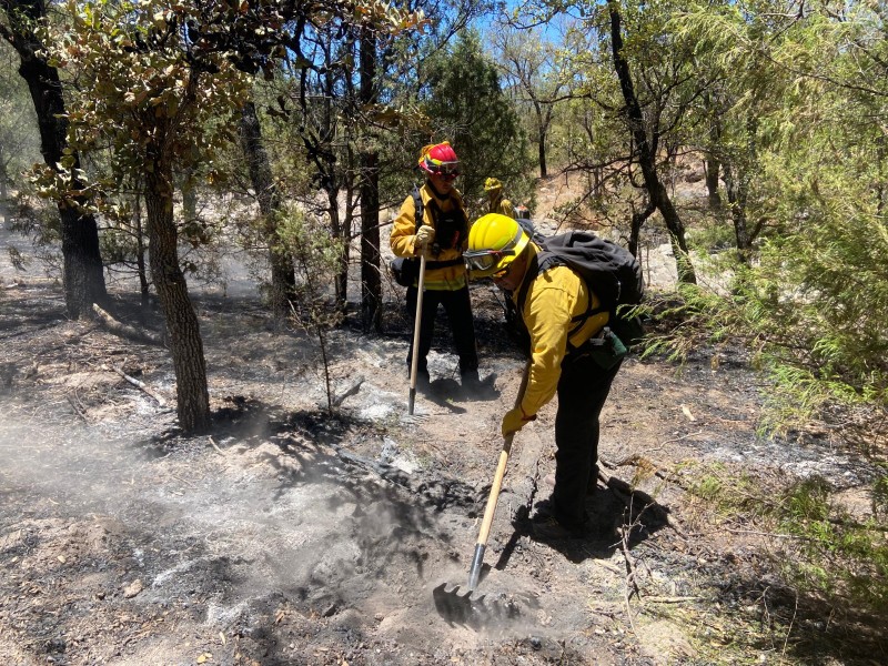 Brigadas estatales atienden incendios activos en Sonora