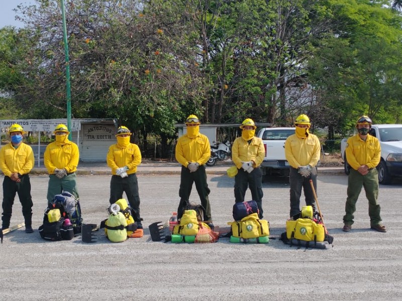 Brigadas hacen frente a 10 incendios forestales en Chiapas