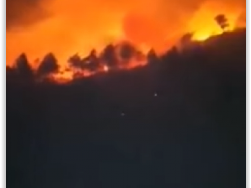 Brigadistas combaten incendio forestal en Cofre de Perote