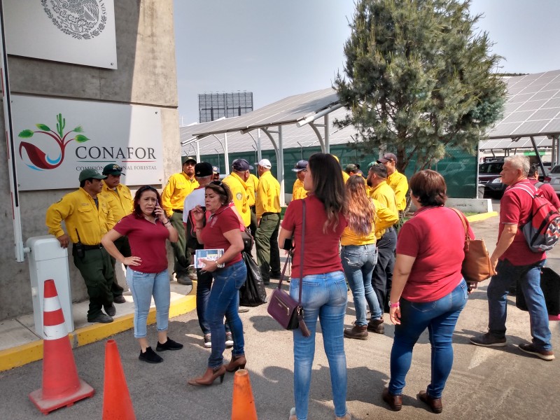 Brigadistas de Conafor exigen pago de horas extras