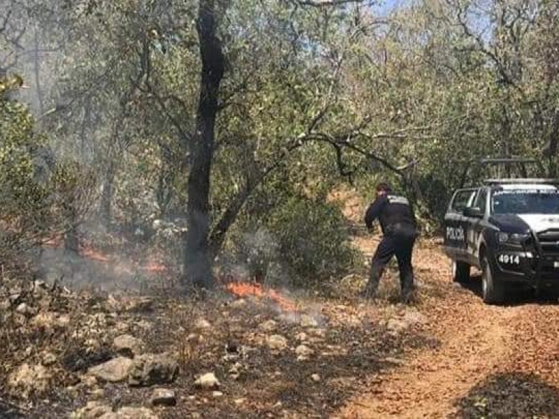 Brigadistas intentan controlar incendio en Jalpan