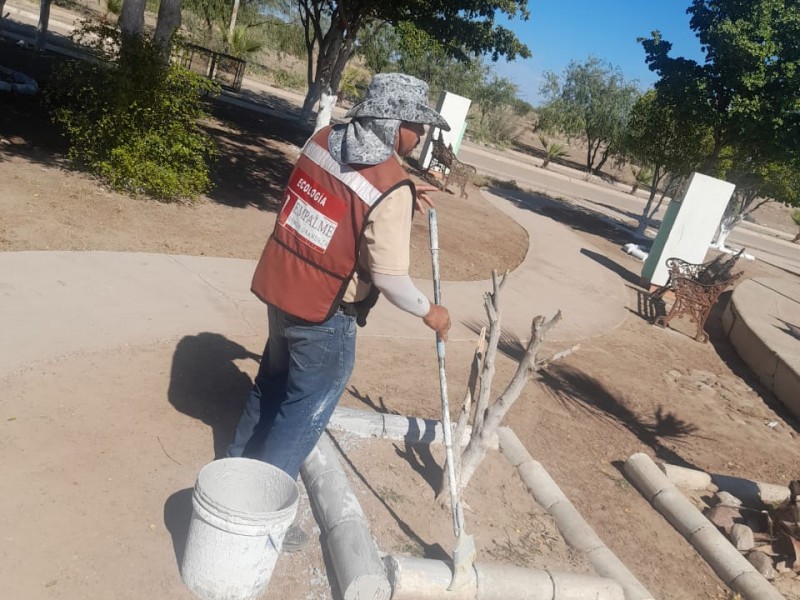 Brinda Ecología mantenimiento a plaza pública Revolución