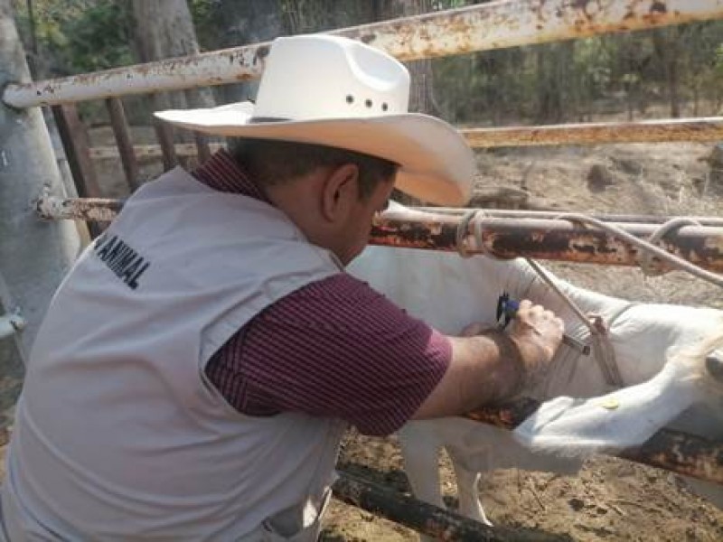 Brindan apoyo a ganaderos para mejorar condiciones sanitarias