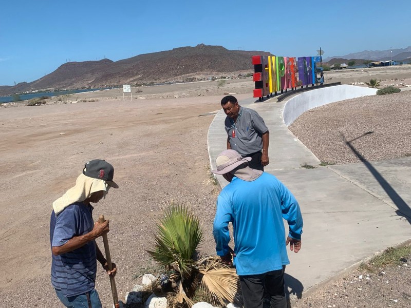 Brindan permanente atención a áreas verdes en la ciudad