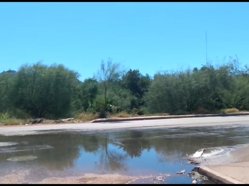 Brota el drenaje en el bulevar de Las Playitas