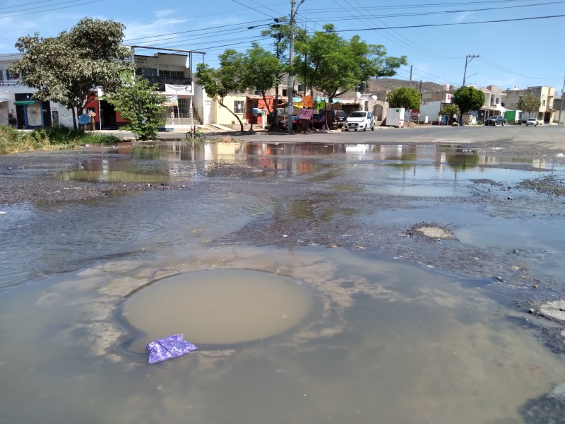 Brotan aguas negras en calle Villas de Montalvo