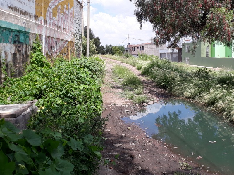 Brotan aguas negras en calles de colonia Tecnológica