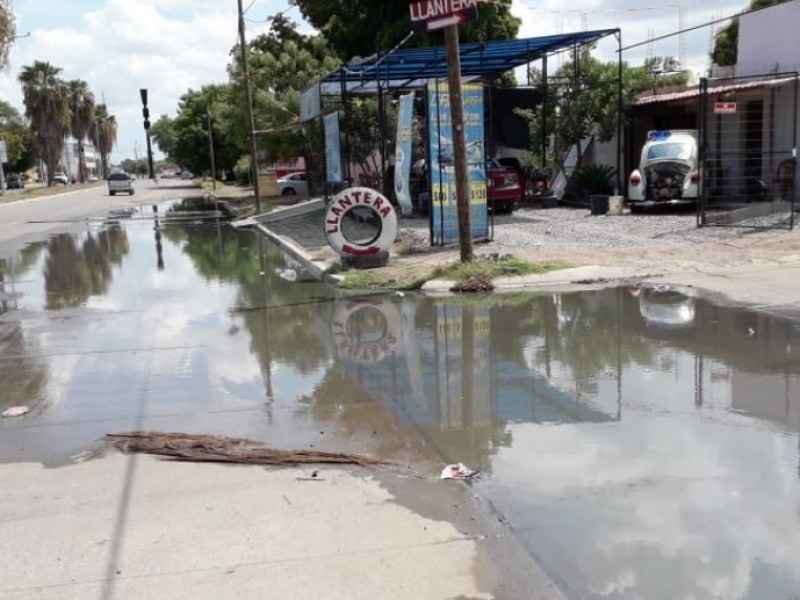 Brotan aguas negras en Cedros desde hace semanas