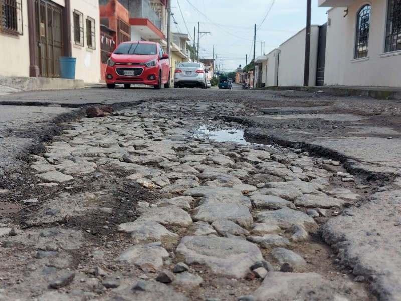 Brotan baches en Xalisco por temporal de lluvias