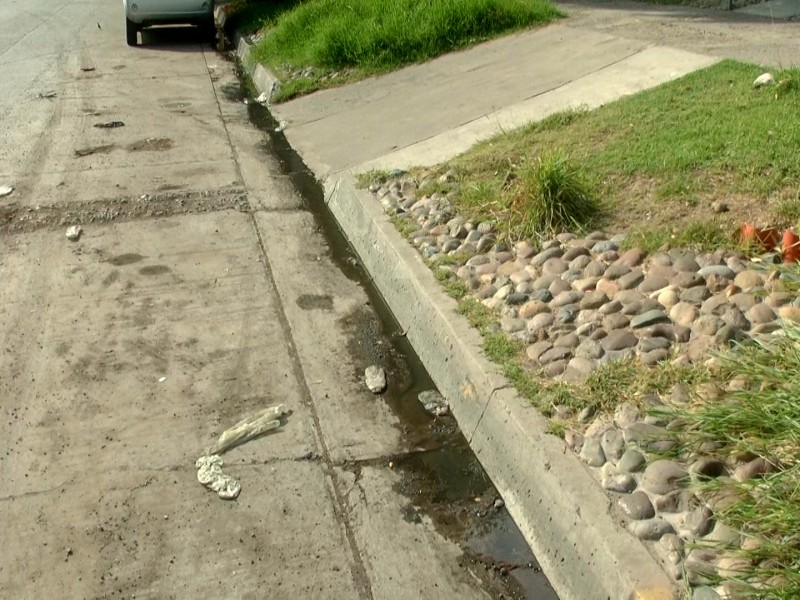 Brote de aguas negras en Blvd. Rosales