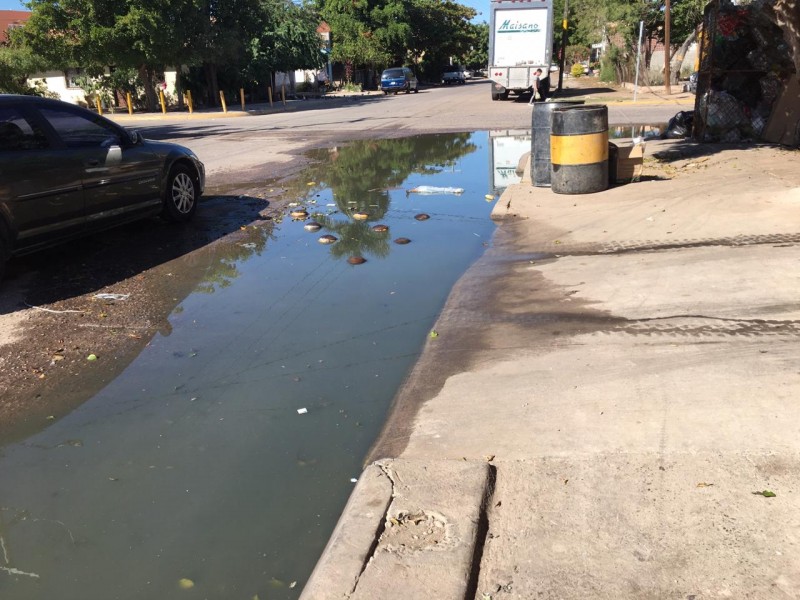 Brote de aguas negras en la Colonia Centro