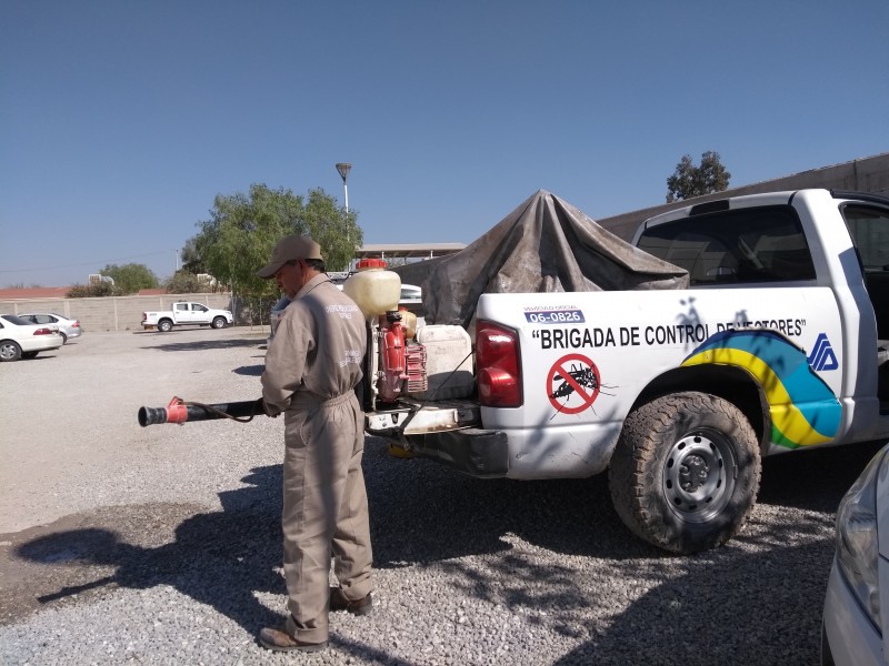 Brote de Dengue en la Laguna de Durango