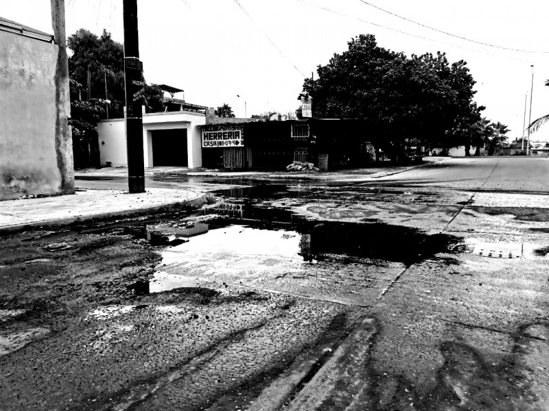 Brotes de aguas negras afectan en salud y economía