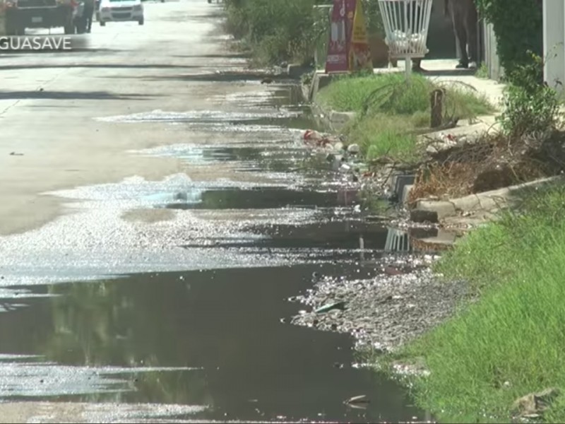 Brotes de aguas negras, un problema fuerte en Guasave