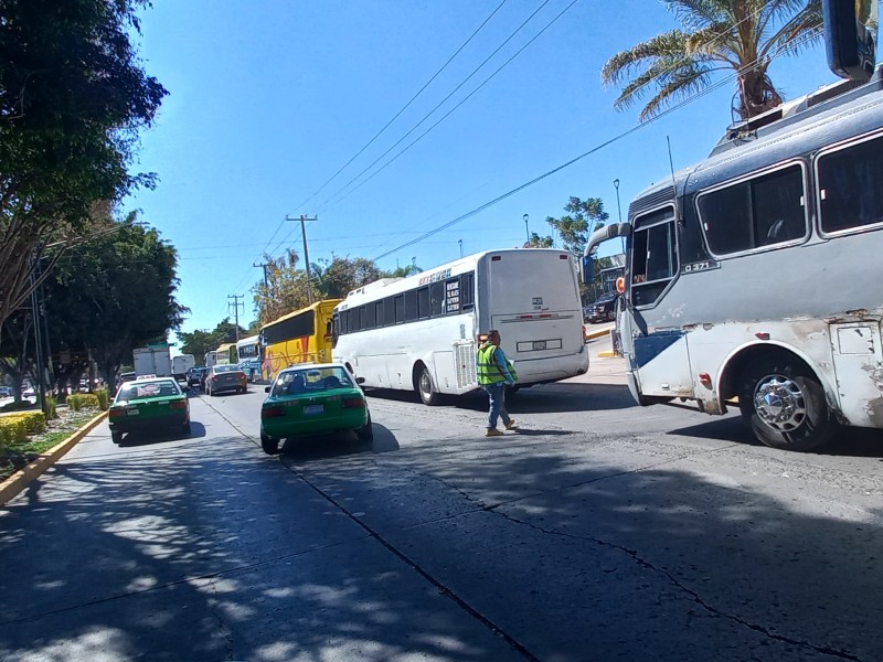 Falta legalidad en empresas de transporte turístico