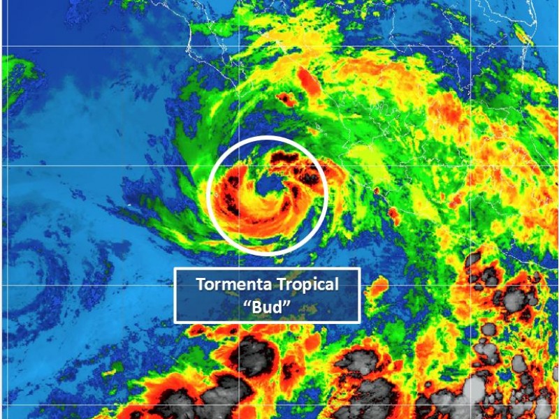 Bud se degrada a tormenta tropical, seguirá lloviendo