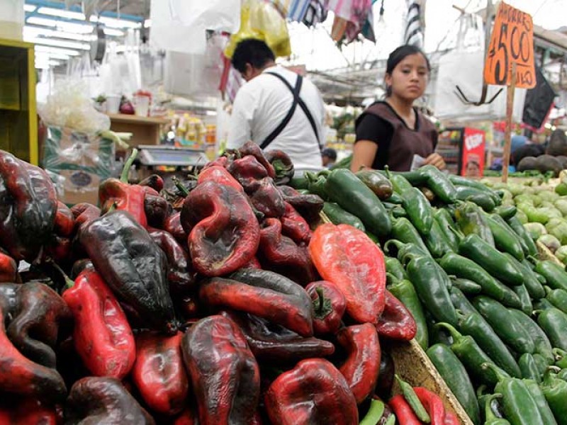 Buena producción de Chile Miahuateco pero con problemas de venta