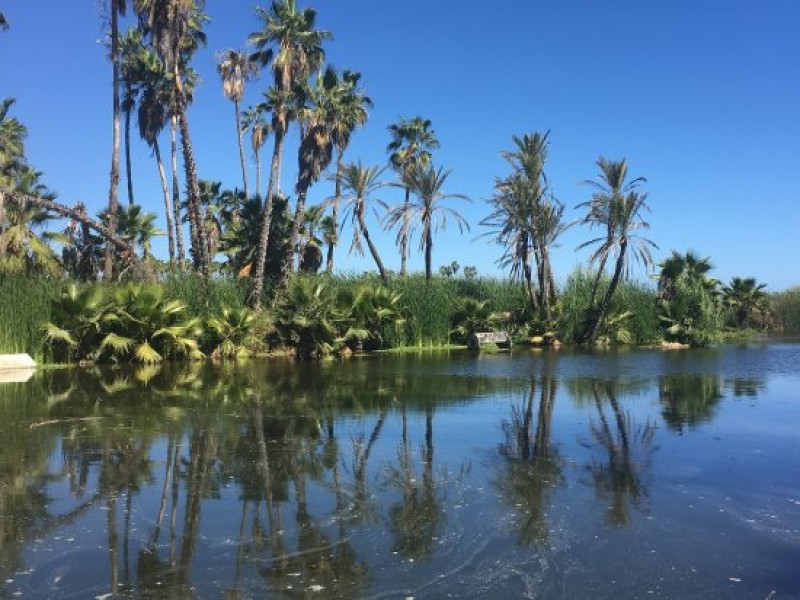 Buenos resultados entrega ecología  municipal a observatorio ciudadano