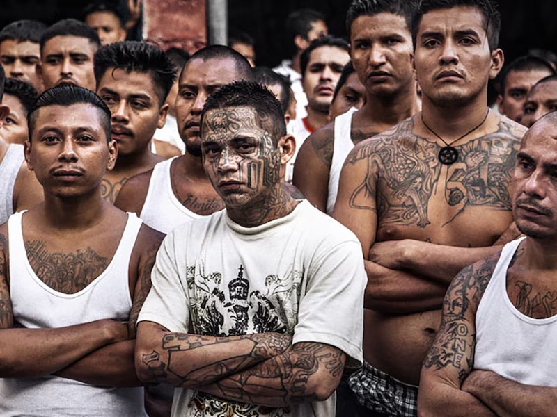 Bukele agradece a Trump declaración de pandilla Barrio 18 como organización terrorista