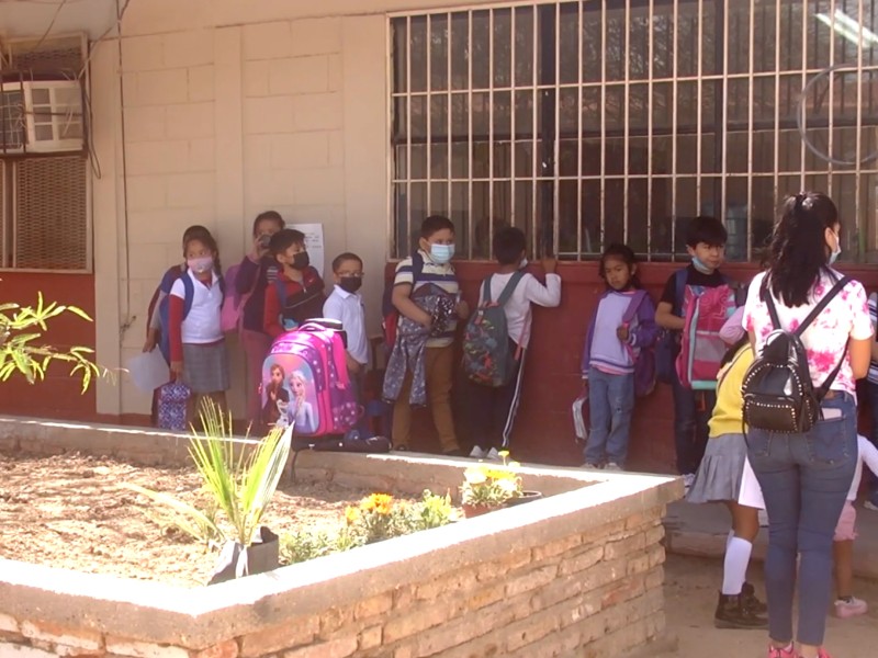 Burocracia en el sistema educativo afecta a alumnos y maestros