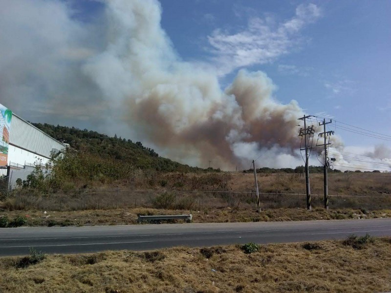 Busca Lemus veda a visitantes en La Primavera