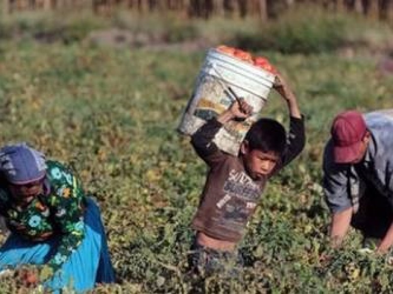 Busca Sonora erradicar el trabajo infantil