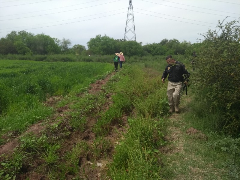 Buscadoras encuentra 8 cuerpos en el Campo 30