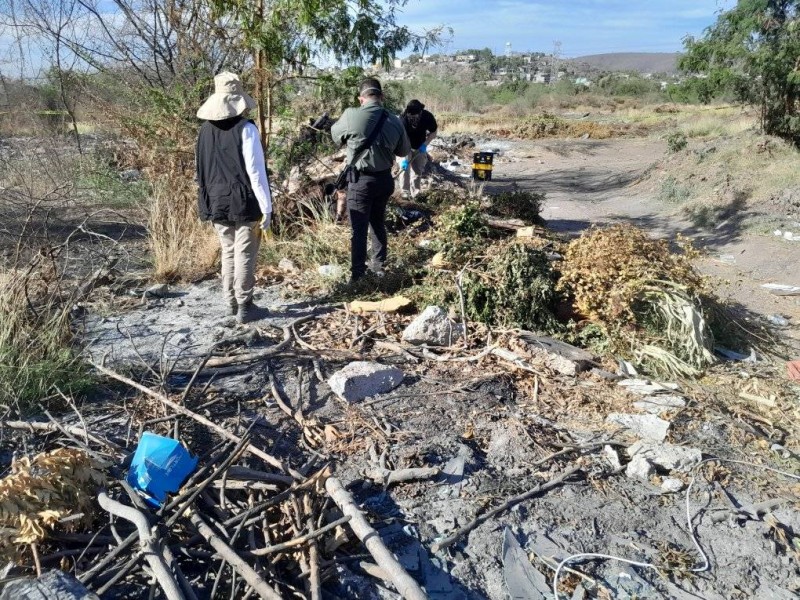 Buscadoras localizan 4 cuerpos al sur de Culiacán