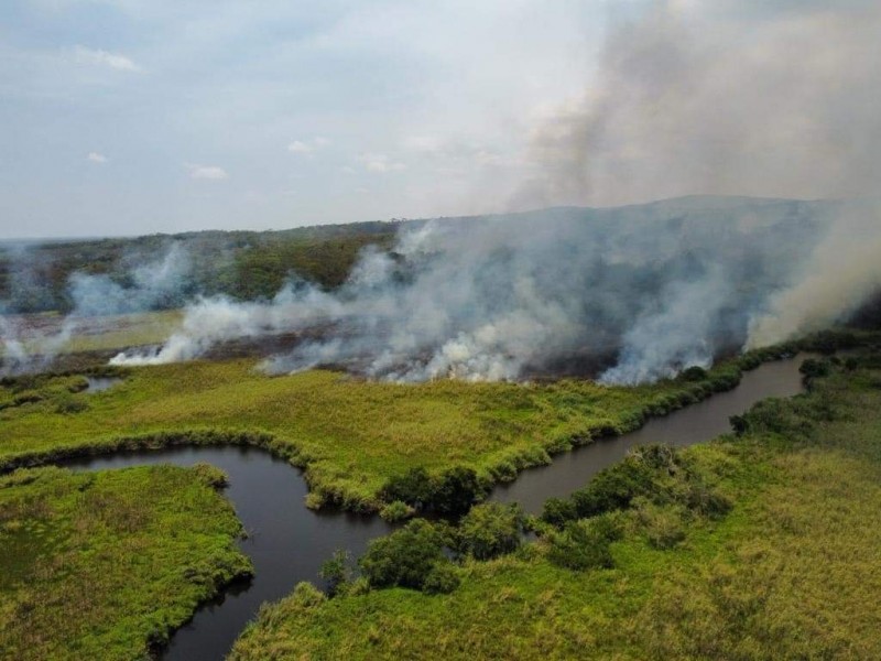 Buscan a responsables de incendio en manglares de San Blas