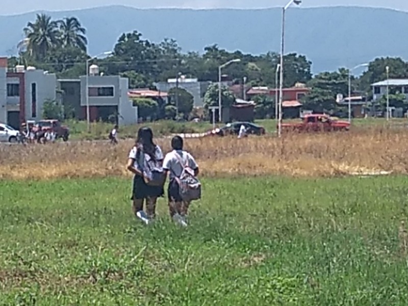 Bullying escolar un problema serio en Colima