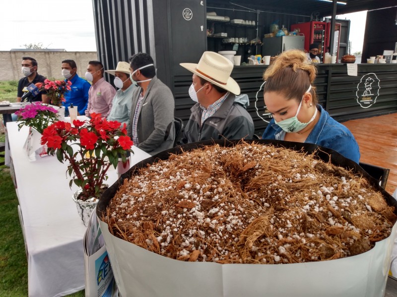 Buscan capacitar a productores de Berries de la región