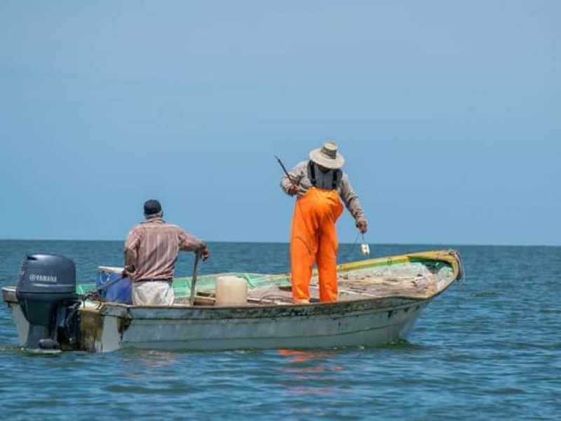 Buscan combatir pesca furtiva en Bahía Santa María