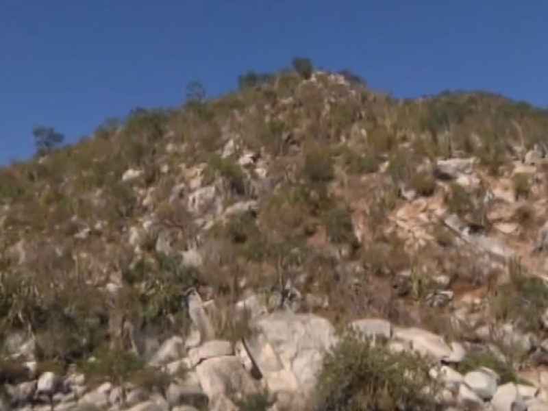 Buscan crear ley que impida entrada de minería