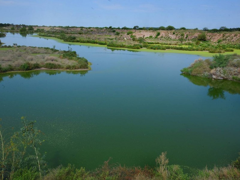 Buscan declarar humedales como Área Natural Protegida