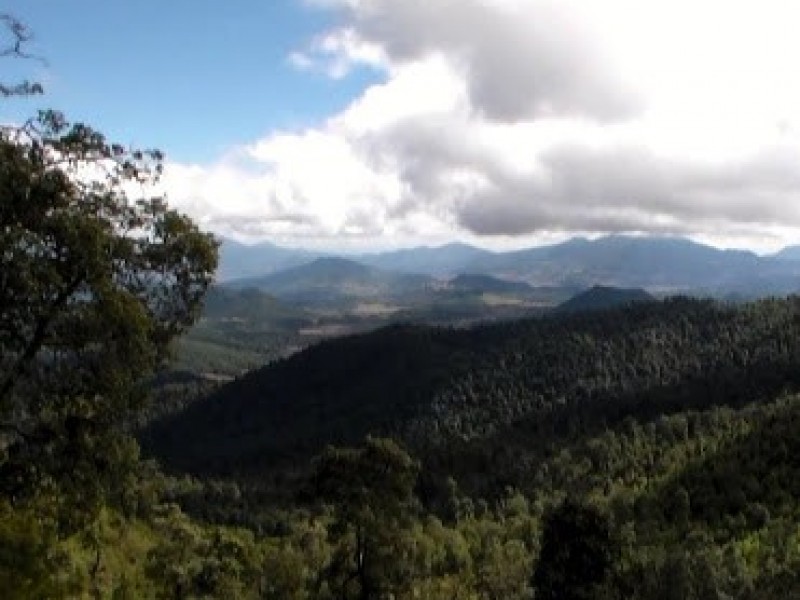 Buscan declaratoria de Cerro Grande como área natural protegida