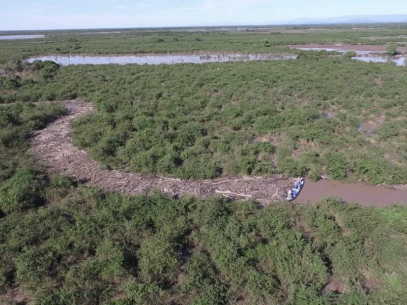 Buscan dinamitar río San Pedro por taponamiento