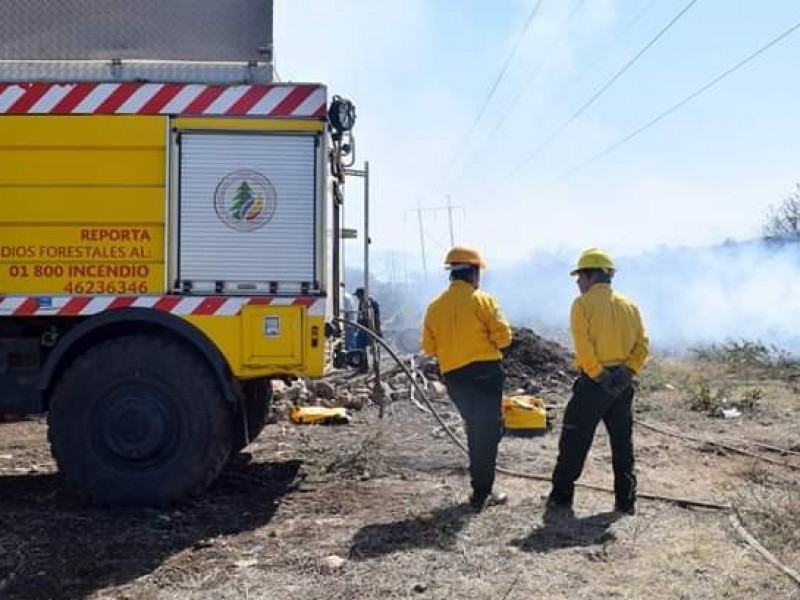 Buscan disminuir los incendios y proteger los bosques de Tangancícuaro