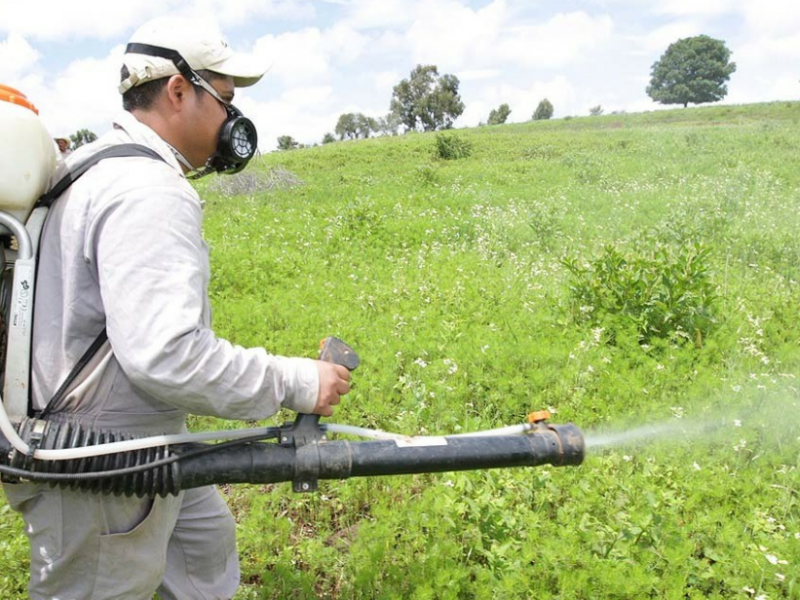 Buscan erradicar el uso excesivo de agroquímicos