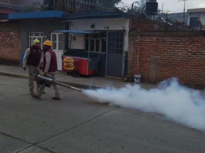 Buscan evitar la presencia del mosquito transmisor del dengue