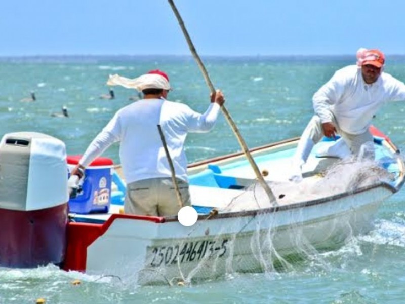 Buscan fomentar la pesca sustentable