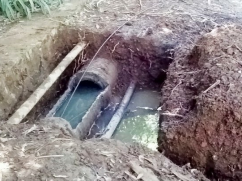 Buscan frenar contaminación del Lago de Camécuaro