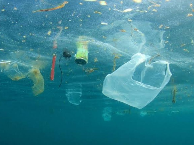 Buscan hacer conciencia para erradicar uso de plásticos