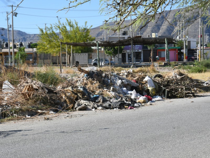 Buscan liberar espacios públicos de basura en Torreón