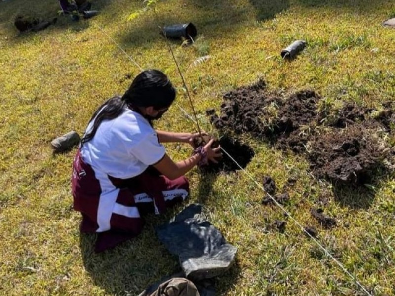 Buscan mitigar impacto de cambio climático en Tangancícuaro