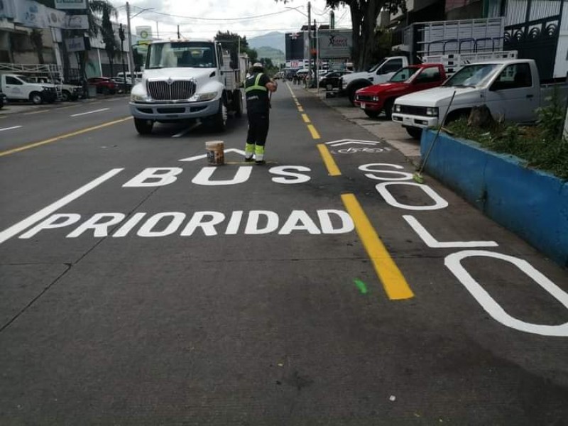 Buscan ordenar al transporte público en Zamora