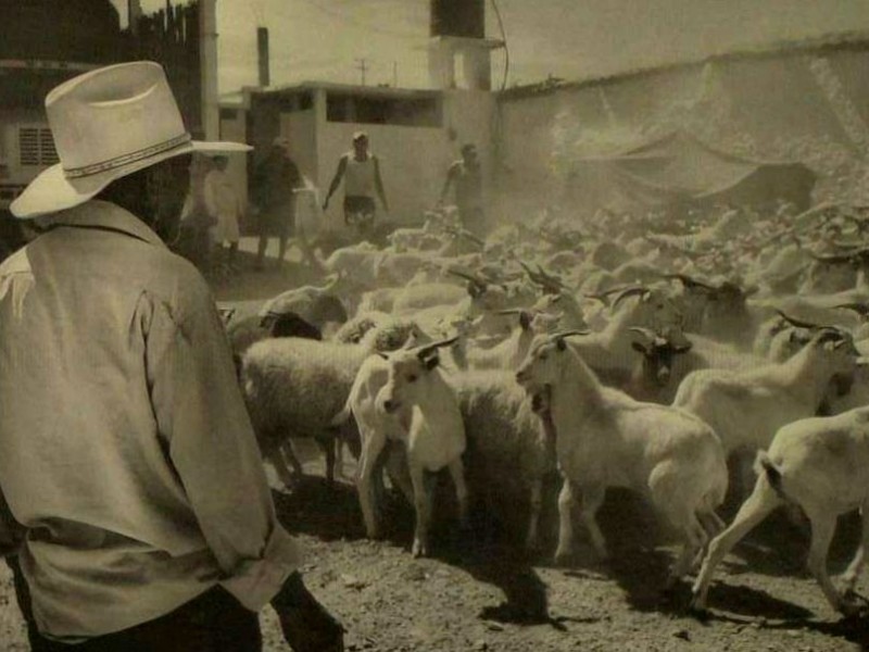 Buscan preservar riqueza natural de comunidades rurales